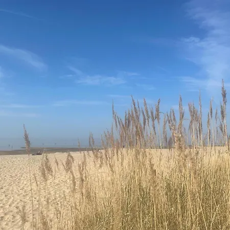 Nordseebrandung Nb A1 1 *