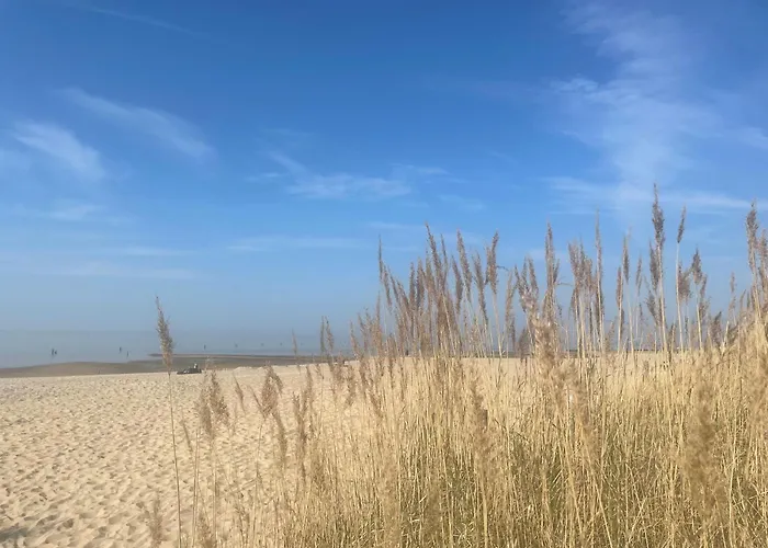 Nordseebrandung Nb A1 1 *